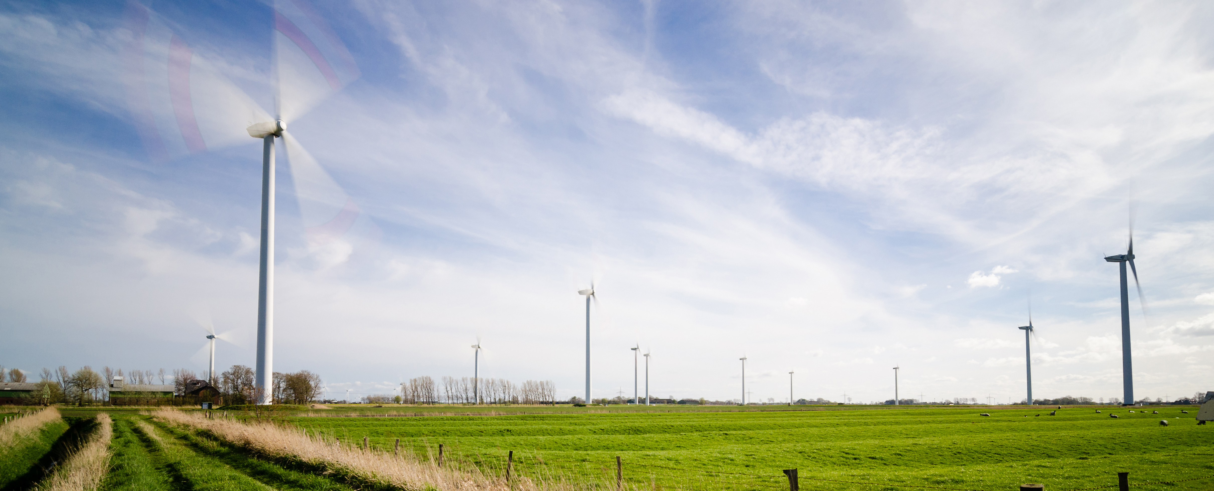 尤尚可持續發展